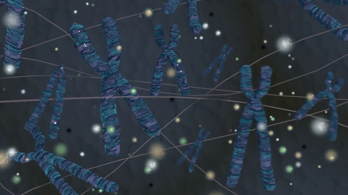 Chromosomes Scene preview image